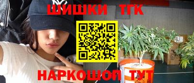 гашик Лесосибирск