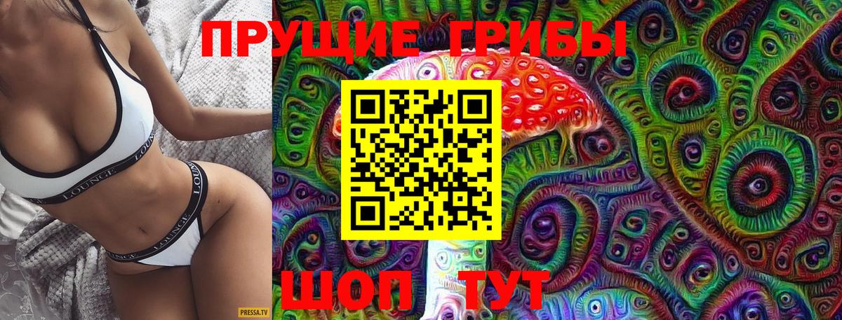 Псилоцибиновые грибы Magic Shrooms  Вход с VPN  Грозный 
