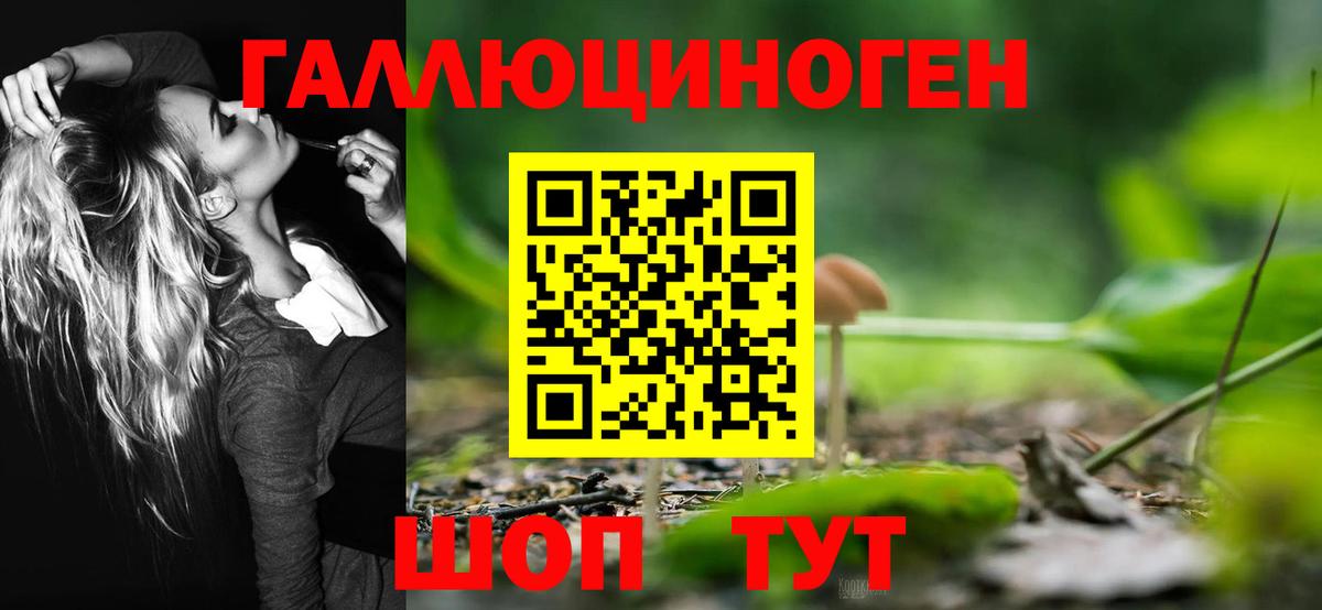 Псилоцибиновые грибы Magic Shrooms Грозный