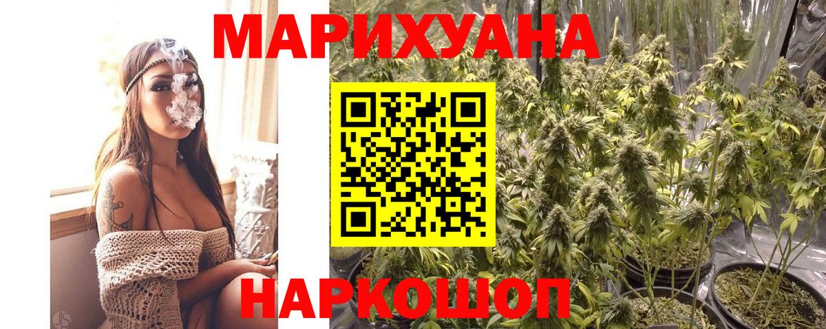 Шишки марихуана сатива  Бошки Шишки сатива  Вход с VPN  Грозный  Марихуана Ganja  МАРИХУАНА Amnesia 